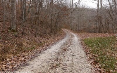 Johnson Branch/Rainey Ratliff