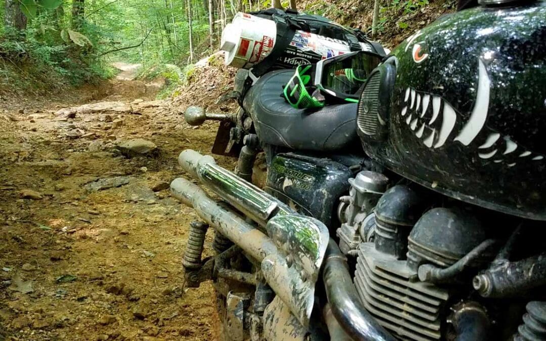 Mountain Springs