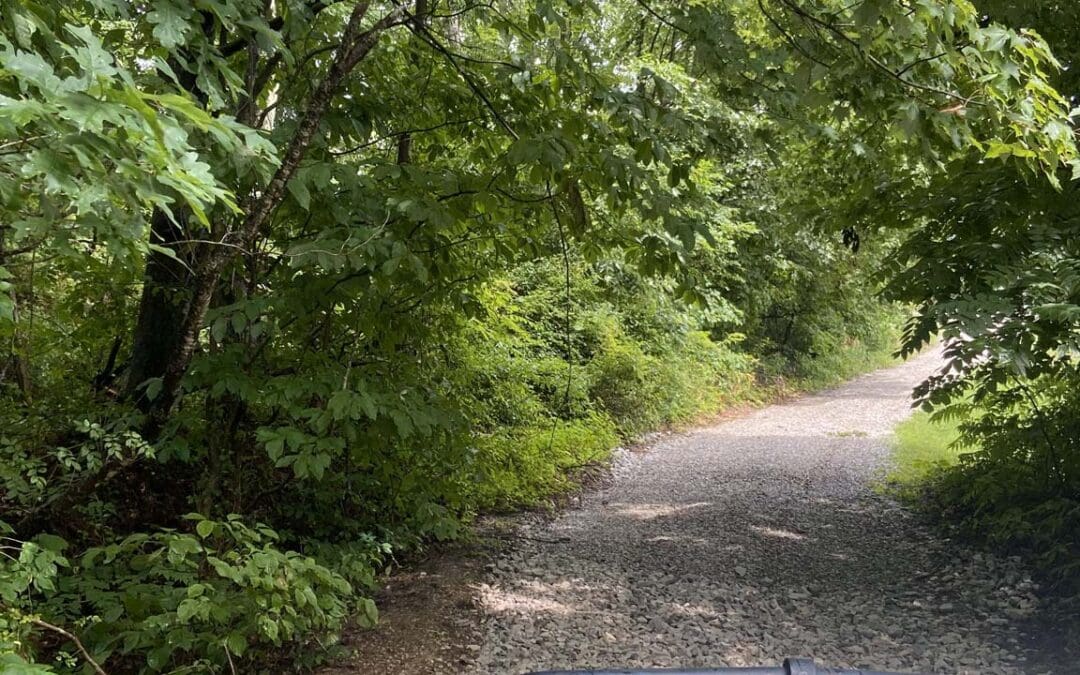 Piney Branch