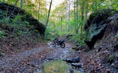 Pumpkin Hollow