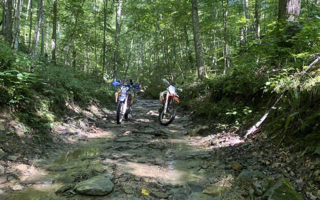 Ross Creek