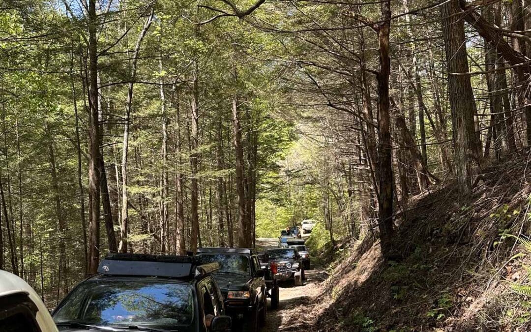 Clover Bottom Creek Rd