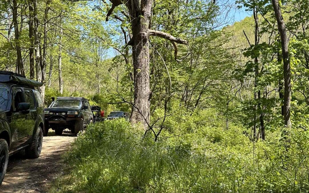 Gravel Lick Rd