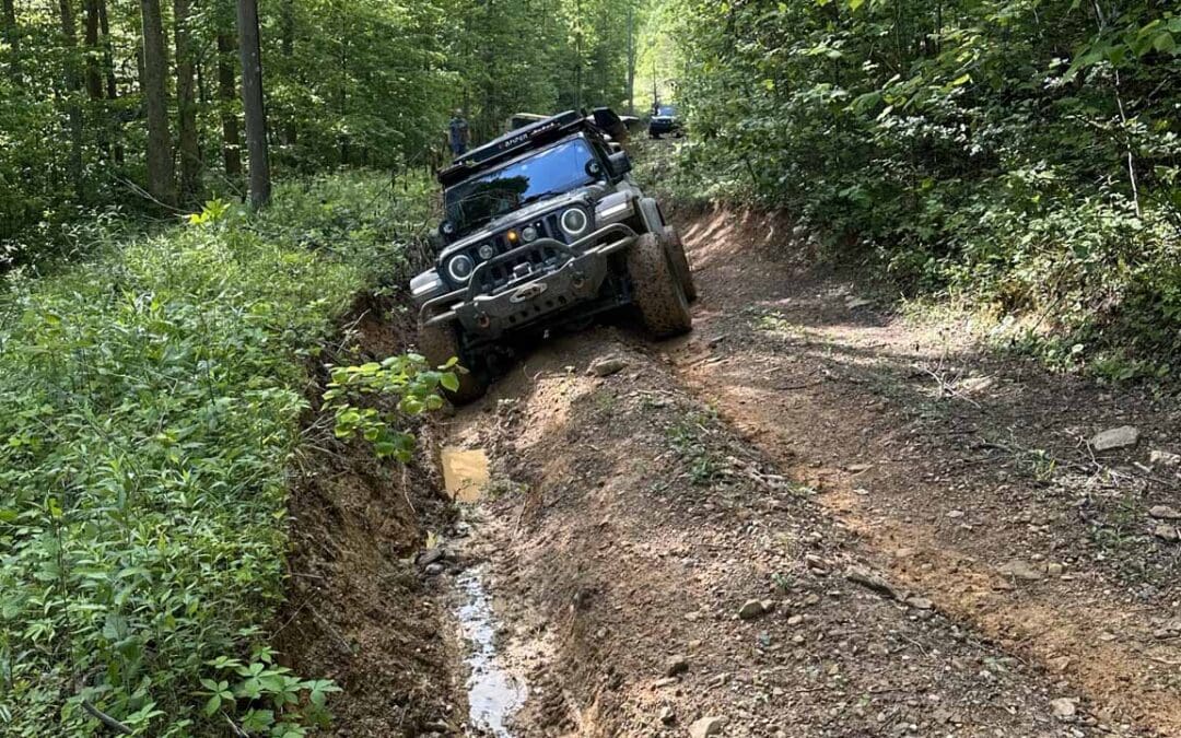 Herd Springs