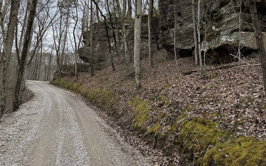 Poplar Gap Rd
