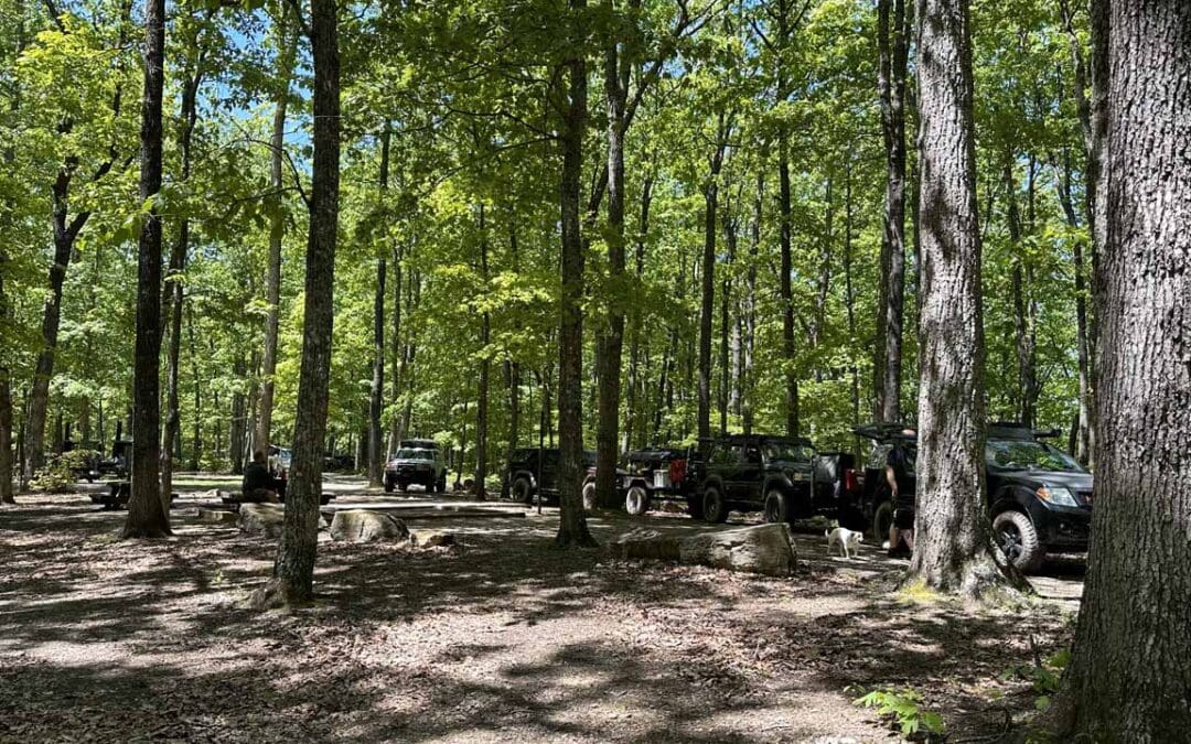 S Tree Tower/431/Bear Gap